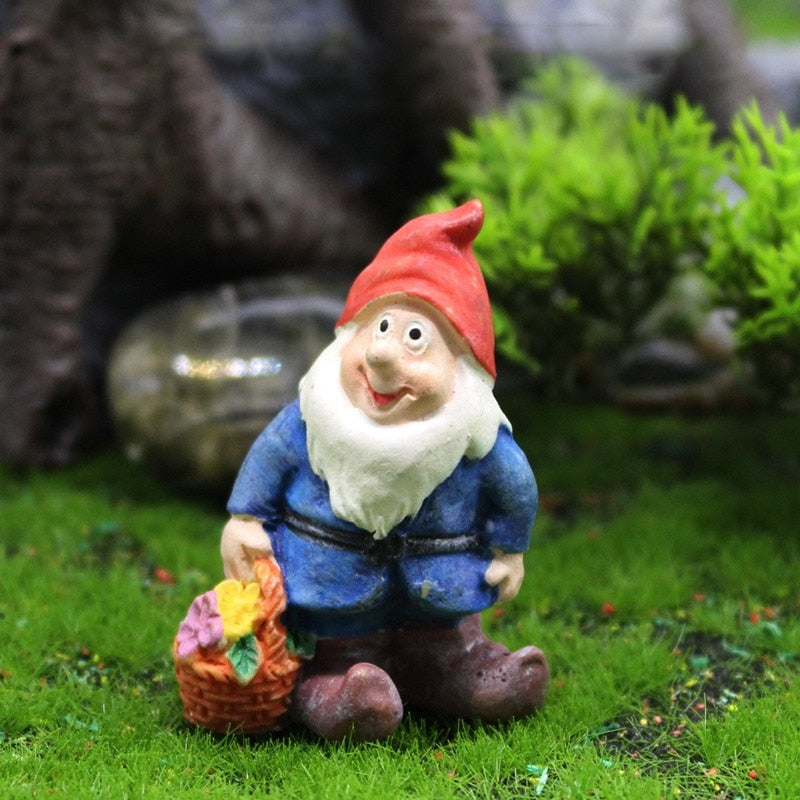 Fun Garden Gnomes