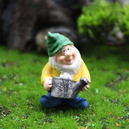 Fun Garden Gnomes