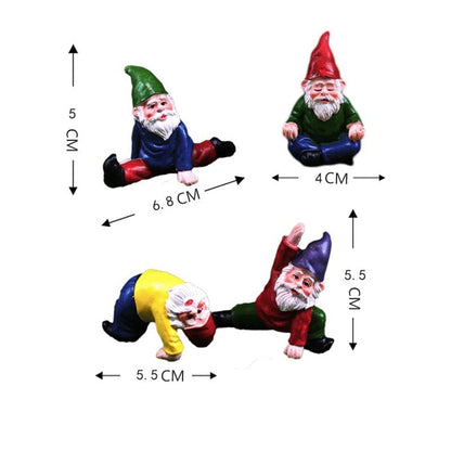 Fun Garden Gnomes