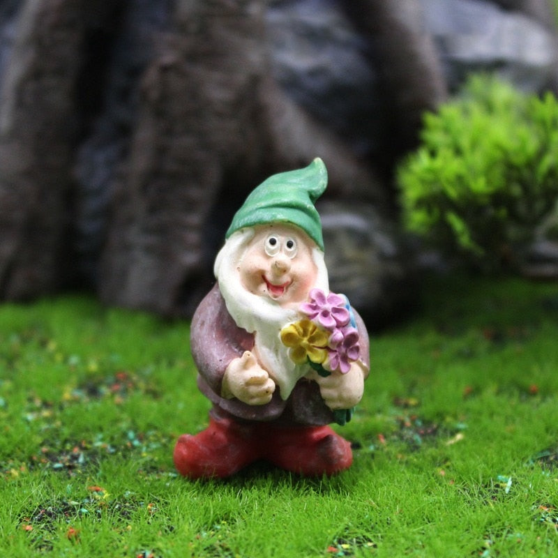 Fun Garden Gnomes