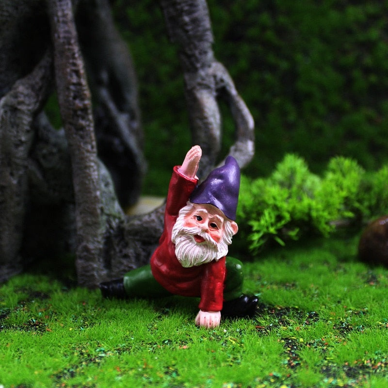 Fun Garden Gnomes