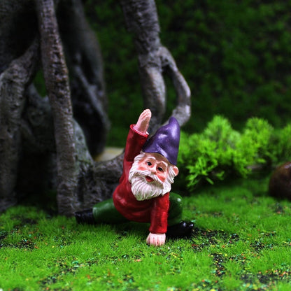 Fun Garden Gnomes