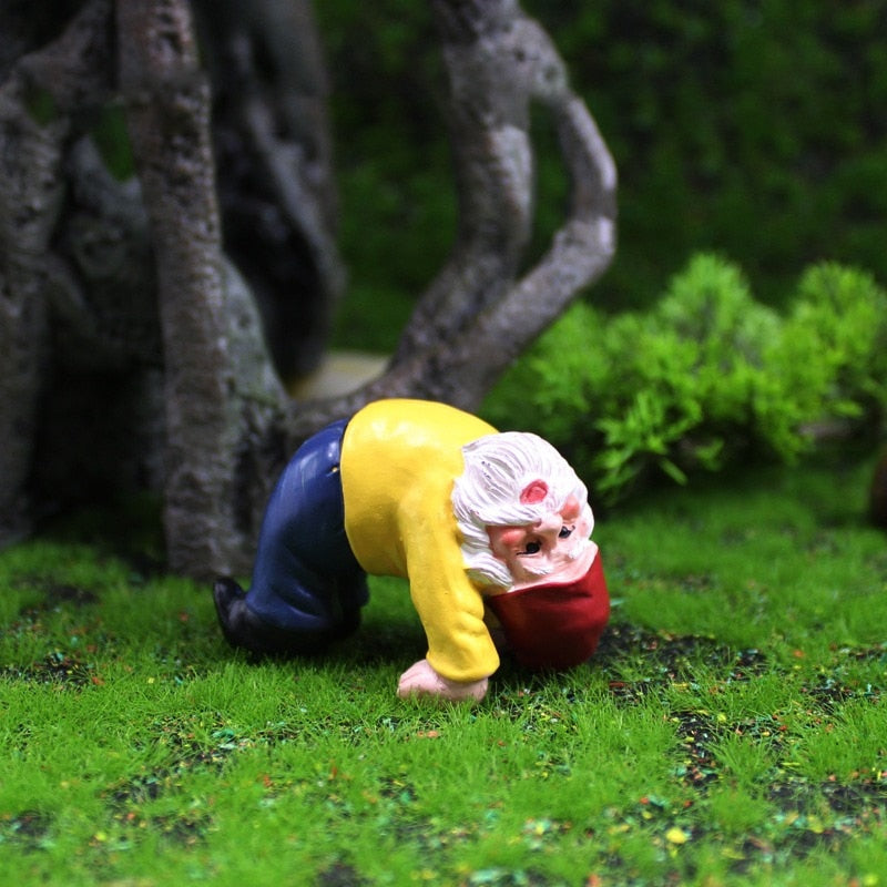 Fun Garden Gnomes