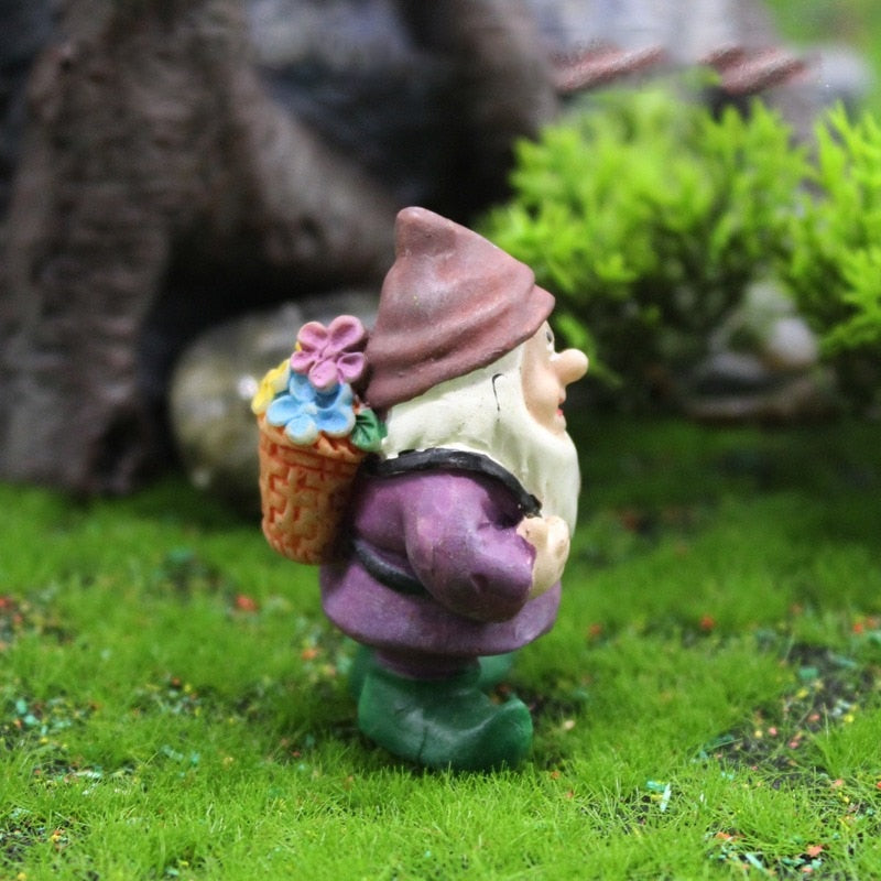Fun Garden Gnomes