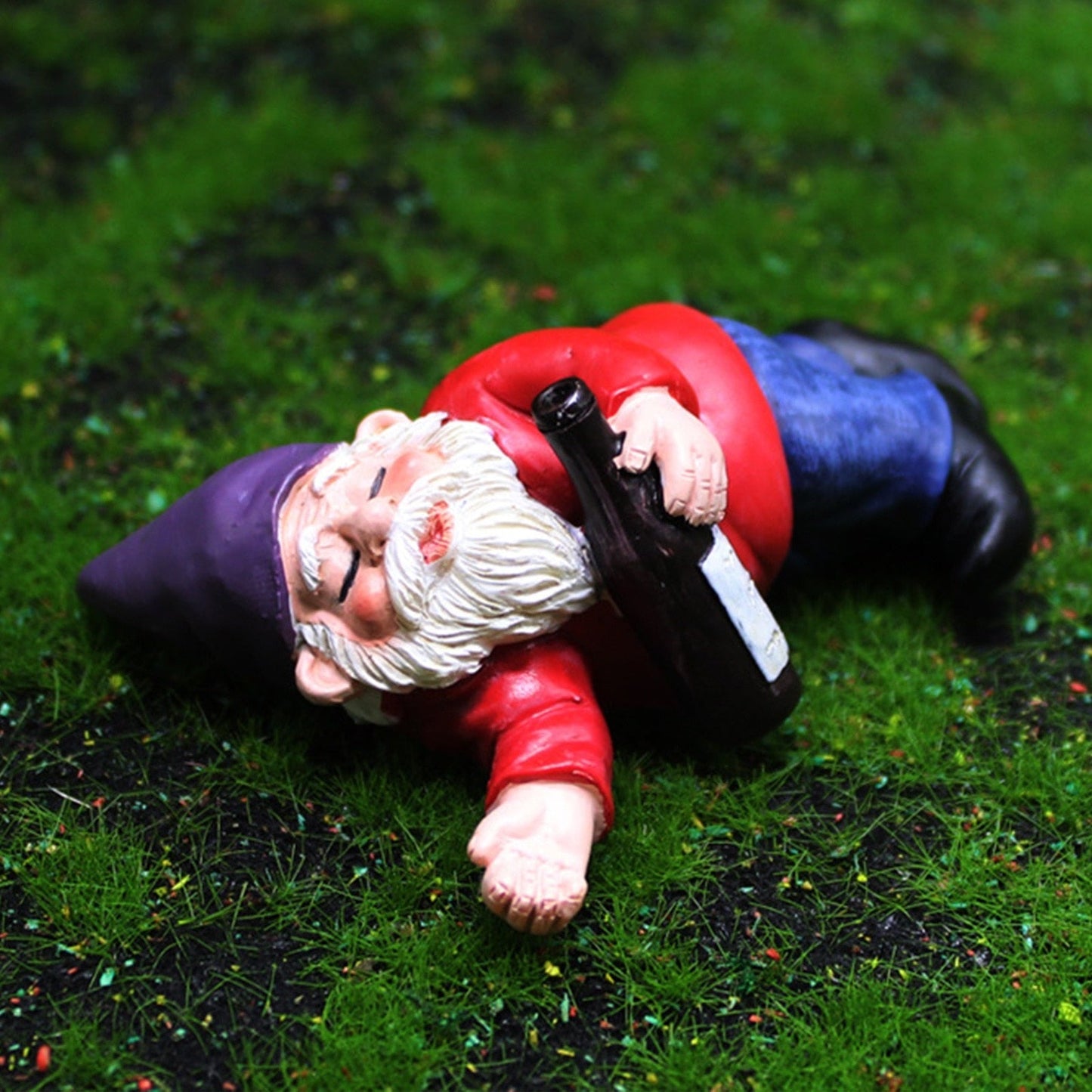 Fun Garden Gnomes