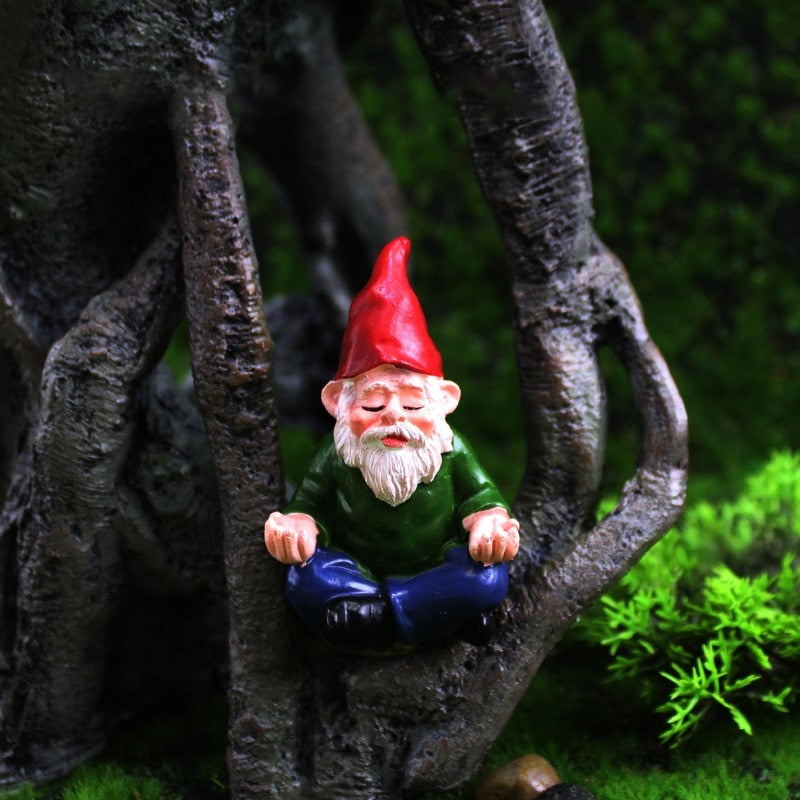 Fun Garden Gnomes