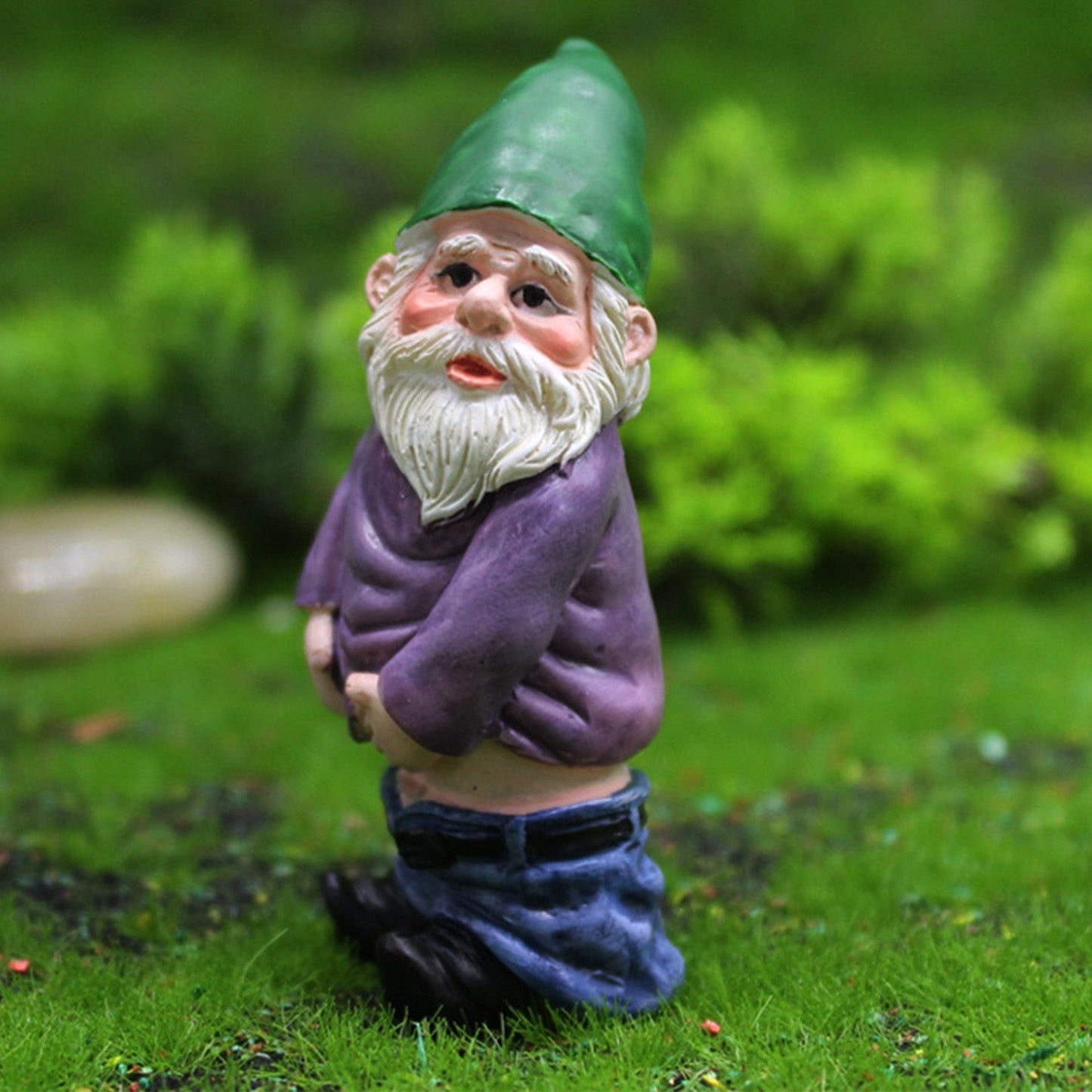 Fun Garden Gnomes