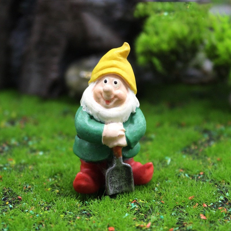 Fun Garden Gnomes