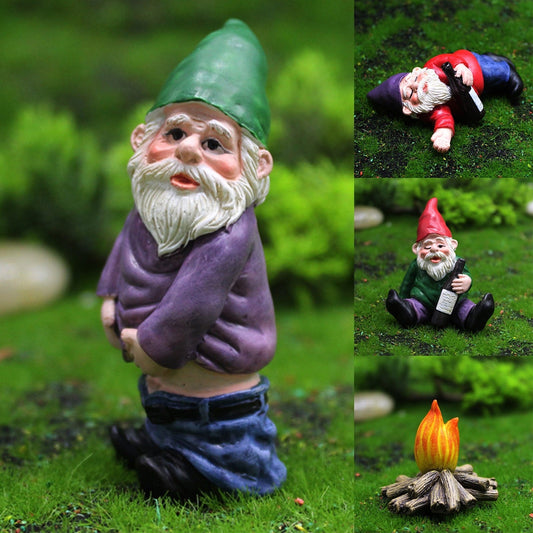 Fun Garden Gnomes