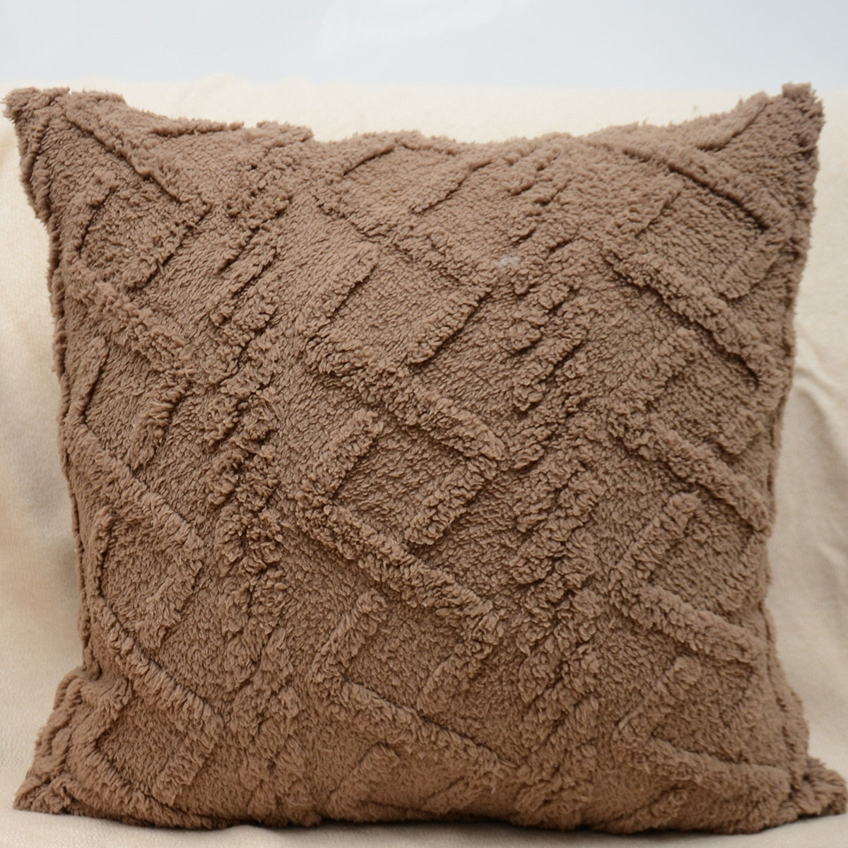 Plush Pillow Cover